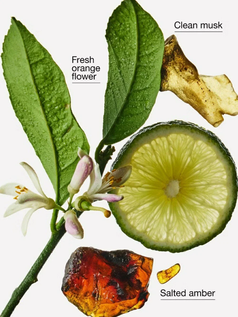 SALTED AMBER & BERGAMOT -Bath & Body Works Candle Wax Melts- $8 per pack
